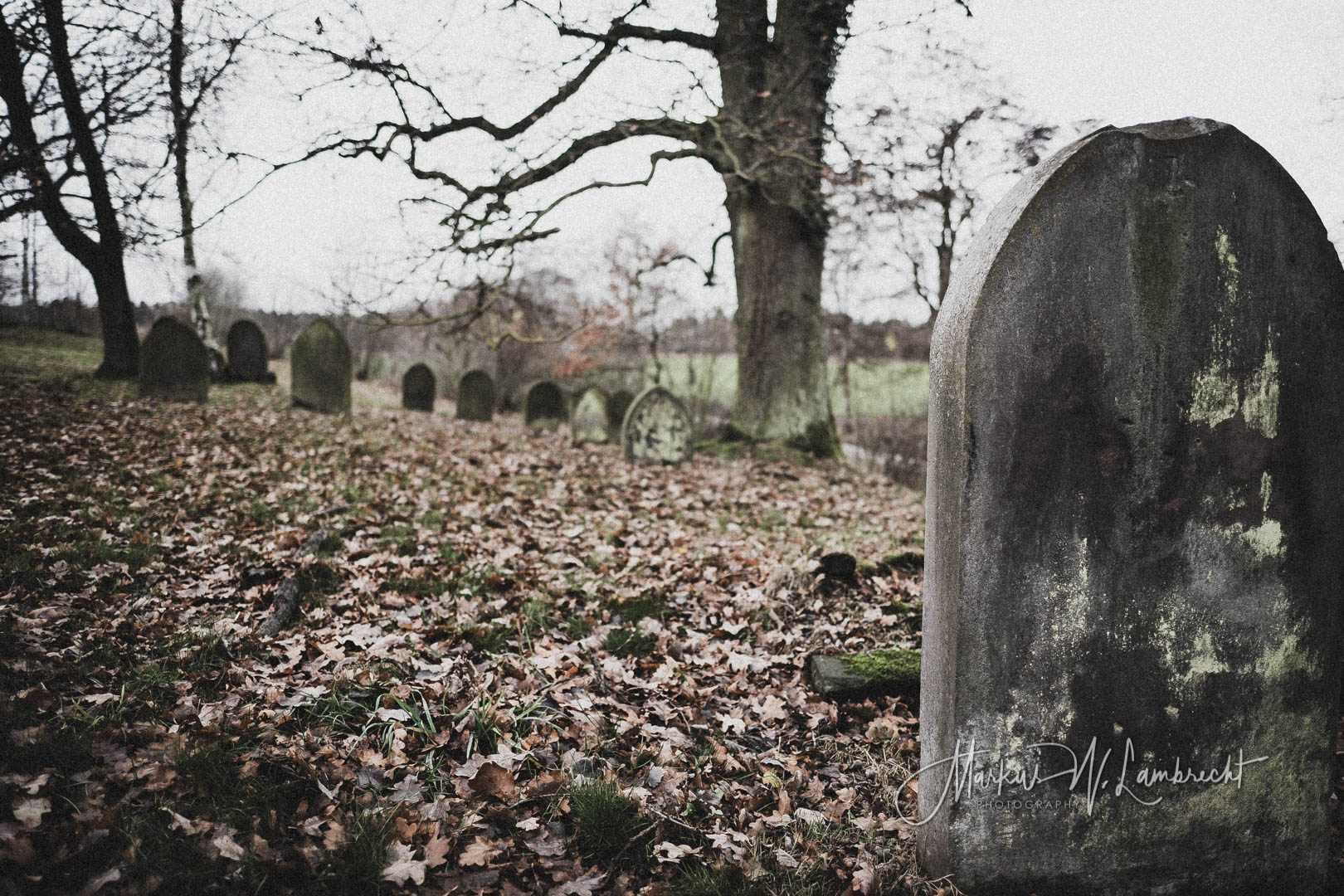Mackensen (Dassel), Jüdischer Friedhof